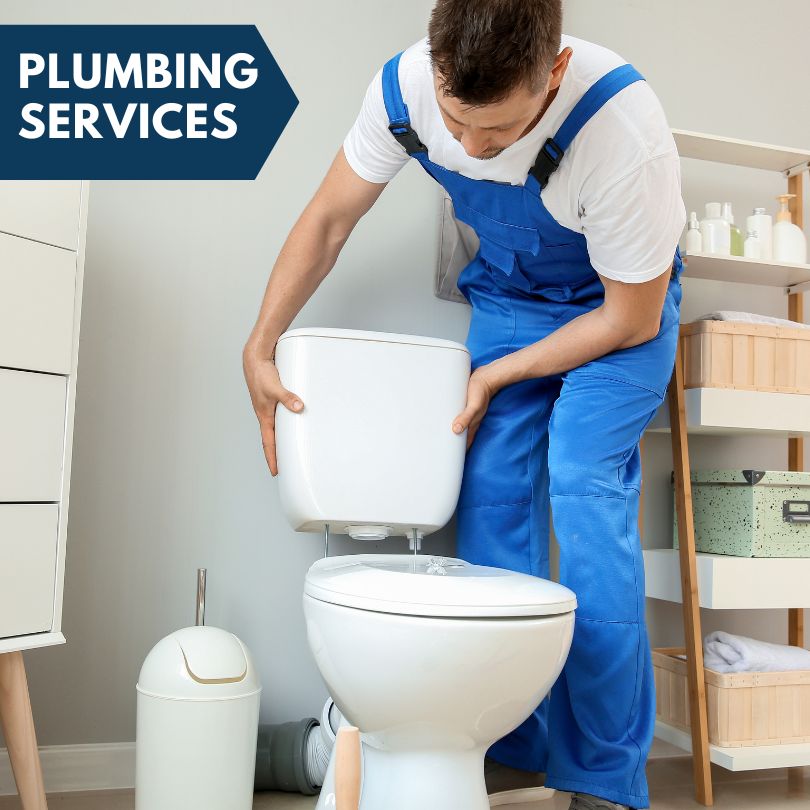 Plumbing Company in Green Isle, MN